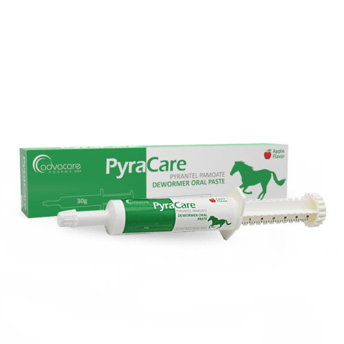 Pyrantel Pamoate Pâte Orale (1 boîte et 1 seringue)