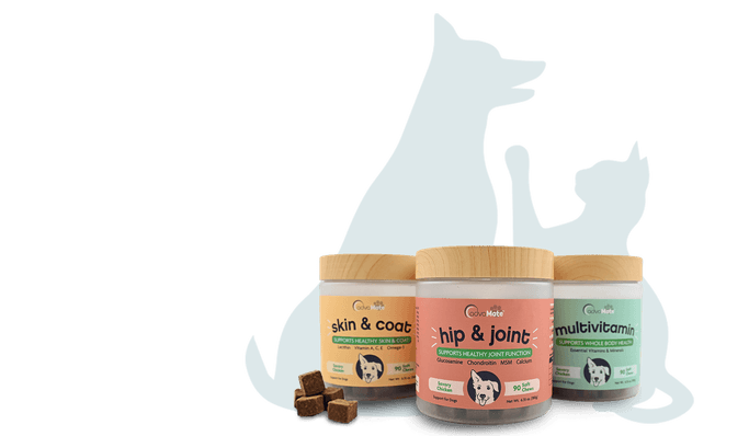 Soft chews pour animaux de compagnie