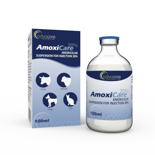 Amoxicillin Suspension for Injection (1 box and 1 vial)