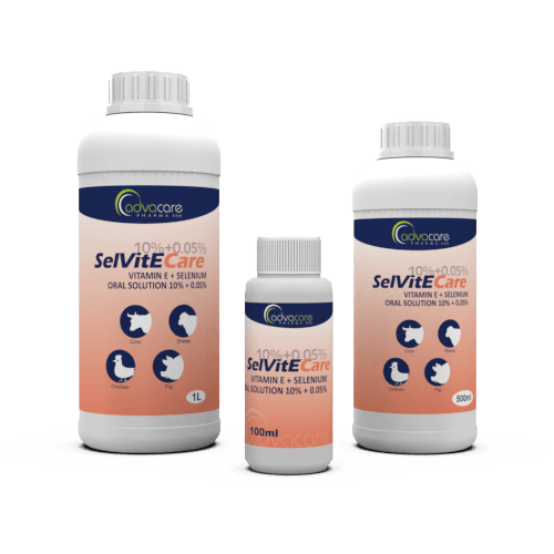 Solution Orale de Vitamine E + Sélénium (Bouteille de 100ml, 500bouteille de ml et 1bouteille de L)