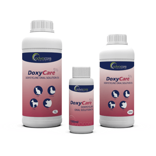 Solution Orale de Doxycycline (Bouteille de 100ml, 500bouteille de ml et 1bouteille de L)