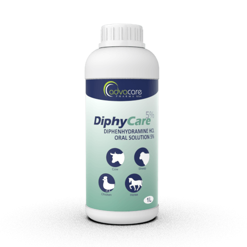 Diphenhydramine Oral Solution (1 bottle)