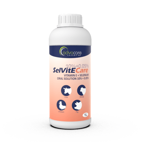 Solution Orale de Vitamine E + Sélénium (1 bouteille)