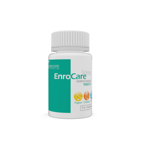 Enrofloxacin Tablets (bottle of 100 tablets)