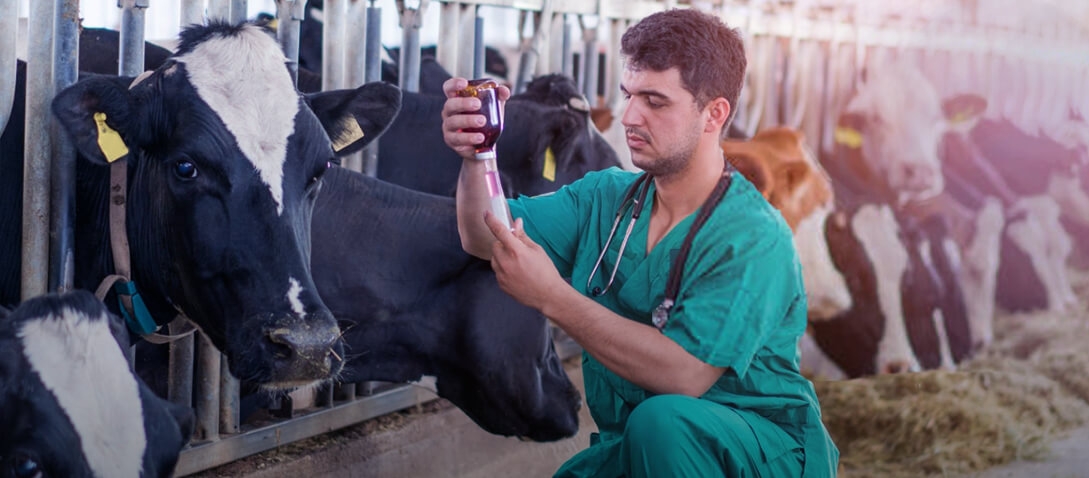 advacarepharma-future-of-livestock-farming-vet