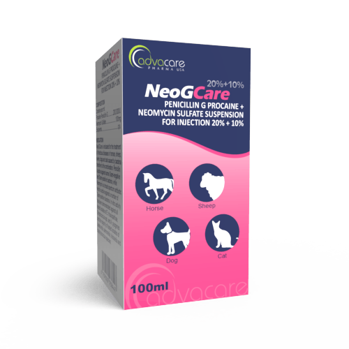 Penicillin G Procaine + Neomycin Sulfate Suspension for Injection (box of 1 vial)