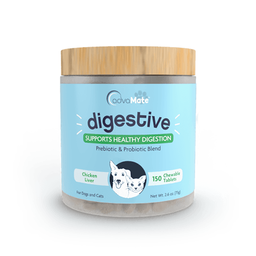 Digestive Support Chewable Tablets (1 bottle)