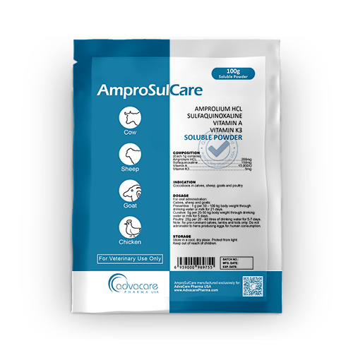 Poudre Soluble d'Amprolium HCl + Sulfiquinoxaline + Vitamine A + Vitamine K3 (1 sac)