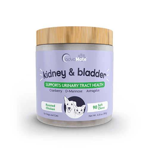 Kidney & Bladder Soft Chews (1 bottle)