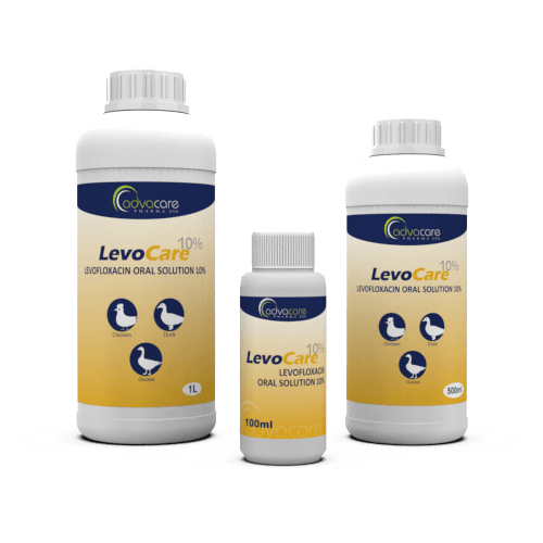 Levofloxacin Oral Solution (100ml bottle, 500ml bottle and 1L bottle)