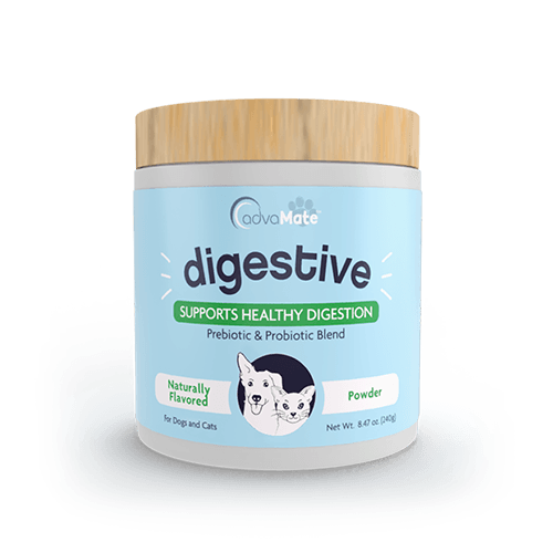 Digestive Support Powder (1 bottle)