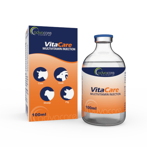 Injection de Multivitamines (1 boîte et 1 flacon)