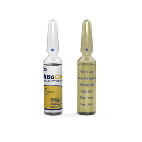 Vitamin B6 Injection (Pyridoxine HCl) (1 ampoule ceramic printing and 1 ampoule labelling)