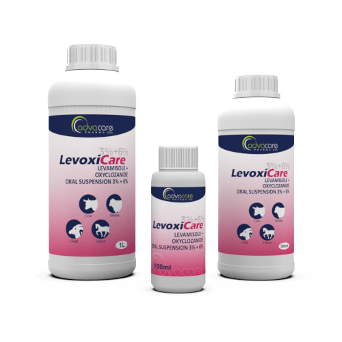 Levamisole HCl + Oxyclozanide Oral Suspension (100ml bottle, 500ml bottle and 1L bottle)