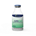 Cefotaxime pour Injection (1 flacon)