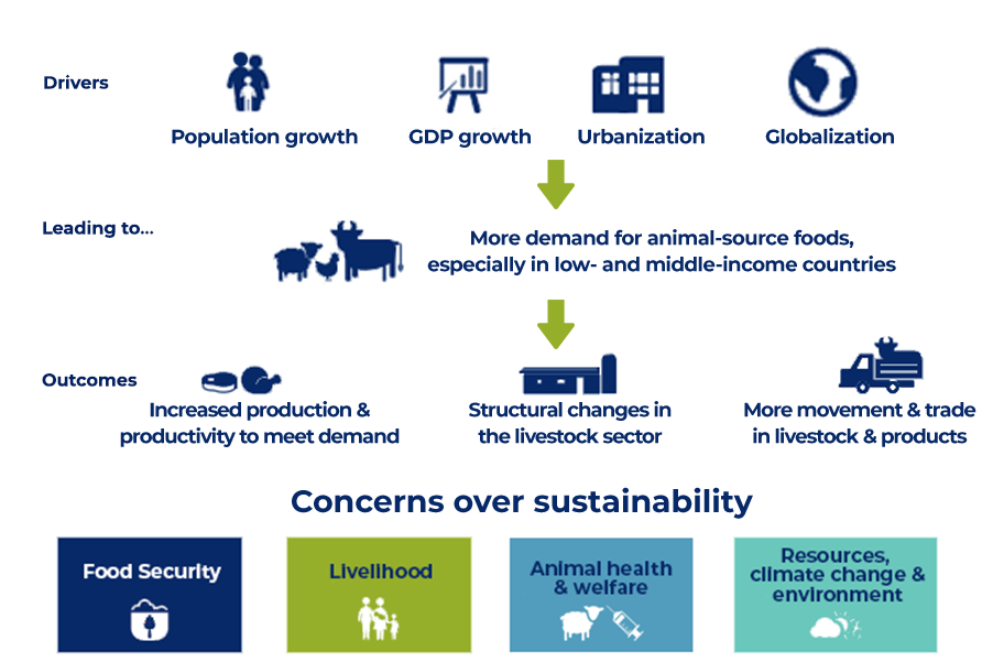 advacarepharma-drivers-outcomes-livestock-farming