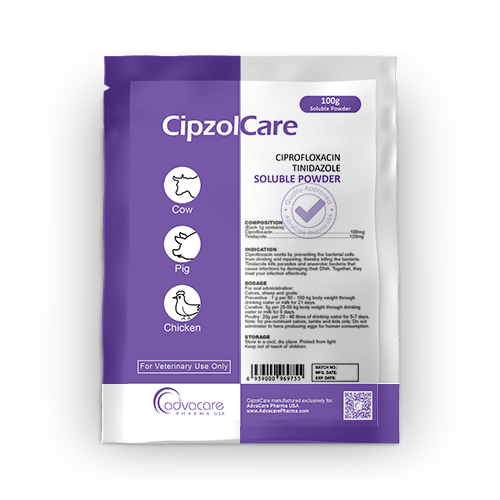 Poudre Soluble de Ciprofloxacine + Tinidazole (1 sac)