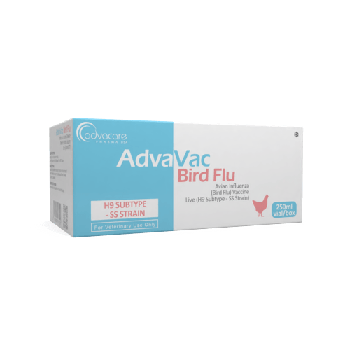 Influenza aviar (Gripe aviar)