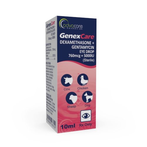 Dexamethasone + Gentamicin Eye Drops (box of 1 bottle)