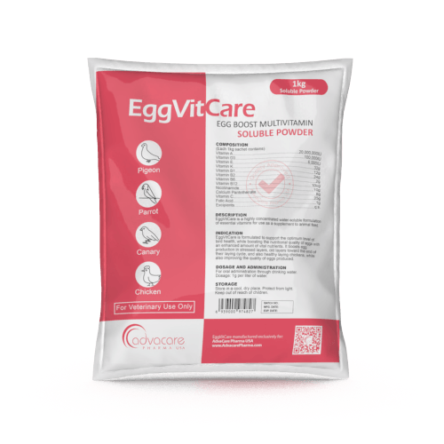 Egg Boost Multivitamin Soluble Powder (1 bag)