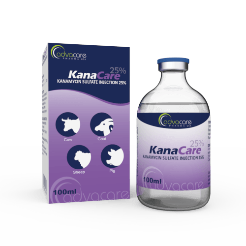 Injections de Sulfate de Kanamycine (1 boîte et 1 flacon)