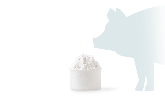 Veterinary Soluble Powders