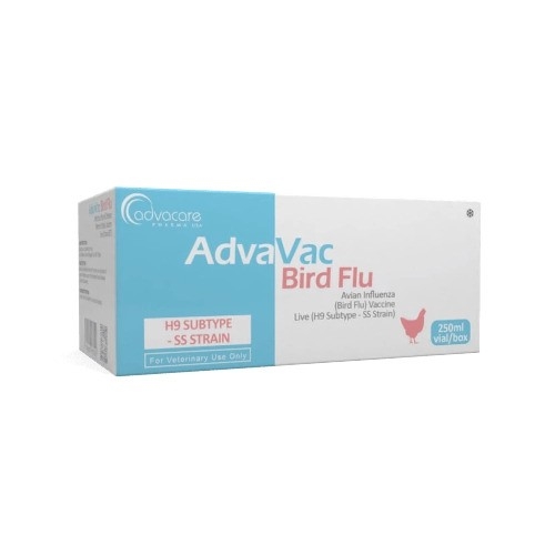 Caja de vacuna contra la gripe aviar