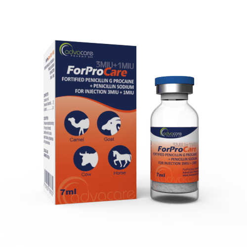 Pénicilline G Procaïne Fortifiée + Pénicilline Sodique pour Injection (1 boîte et 1 flacon)