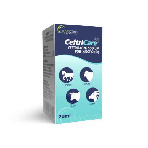 Ceftriaxone Sodique pour Injection (boîte de 1 flacon)