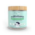 Multivitamin Chewable Tablets (1 bottle)