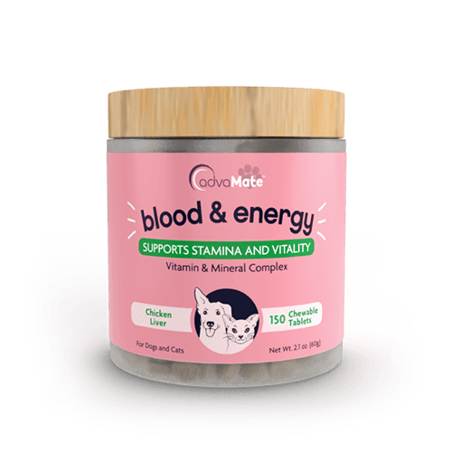 Blood & Energy Chewable Tablets (1 bottle)