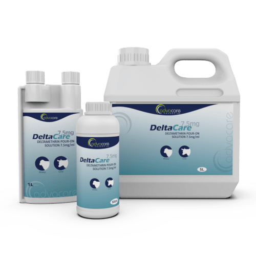 Deltamethrin Pour-On Solution (500ml bottle, 1L bottle and 5L bottle)