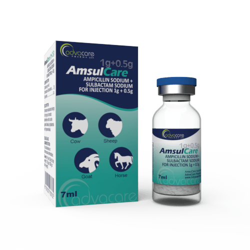 Ampicillin Sodium + Sulbactam Sodium for Injection (1 box and 1 vial)