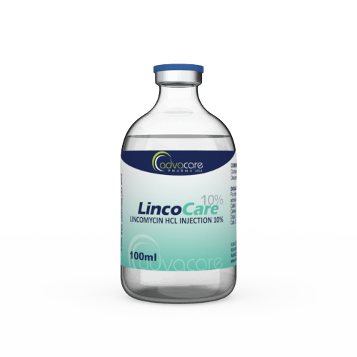 Injection de Lincomycine HCl (1 flacon)