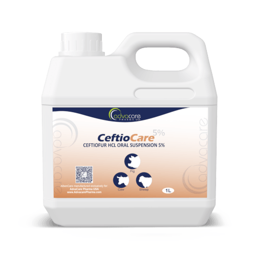 Suspension Orale de Ceftiofur HCl (1 bouteille)