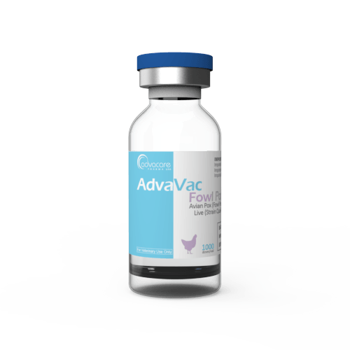 Avian Pox (Fowl Pox) Vaccine (1 vial)