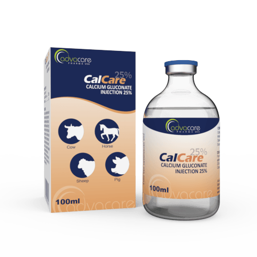 Injection de Gluconate de Calcium (1 boîte et 1 flacon)