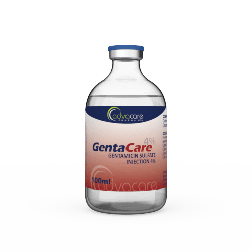 Gentamicin Sulfate Injection (1 vial)