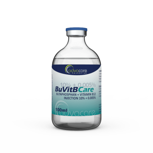 Injection de Butaphosphane + Vitamine B12 (1 flacon)