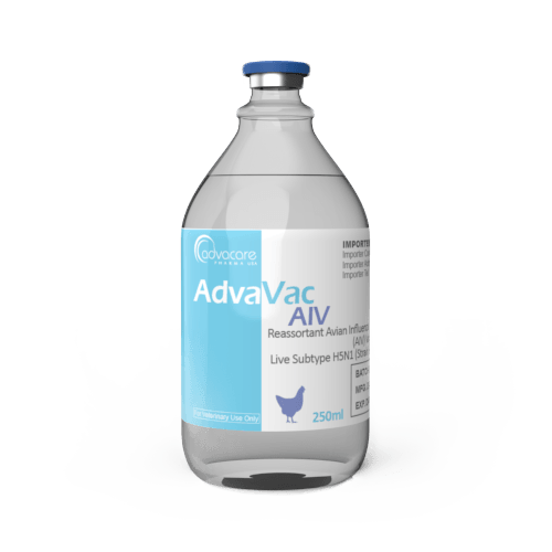 Reassortant Avian Influenza Virus (AIV) Vaccine (1 vial)