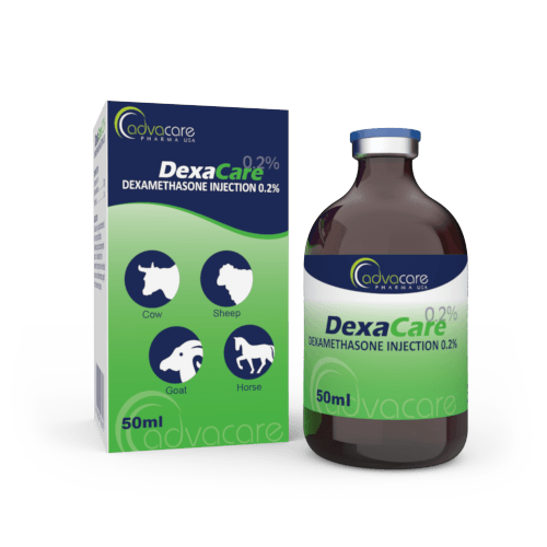 Dexamethasone Injection (1 box and 1 vial)