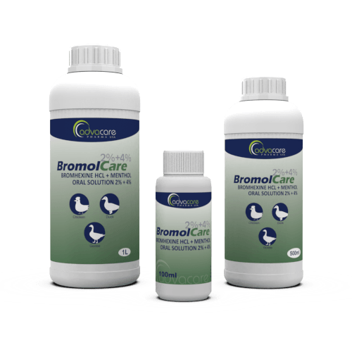 Solución Oral de Bromhexina HCl + Mentol (100ml botella, 500botella de ml y 1botella de L)