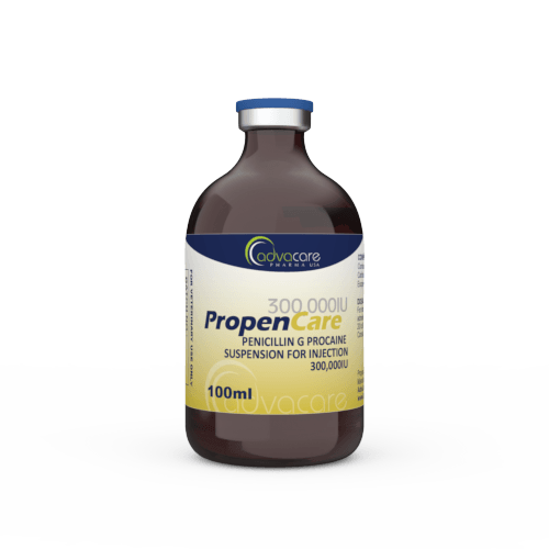 Penicillin G Procaine Suspension for Injection (1 vial)