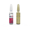 Lidocaine HCl Injection (1 ampoule ceramic printing and 1 ampoule labelling)